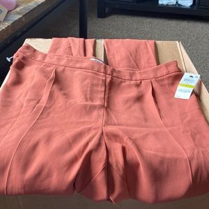 Ladies rust colored dress pant made by Bar lll.  New with tags